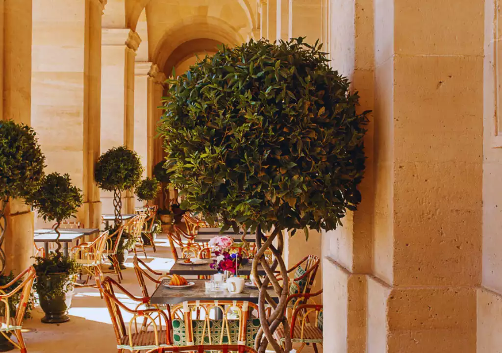 Cafe Laperouse Hotel-de-la-Marine-Concorde