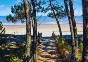 Kauguri à Jurmala