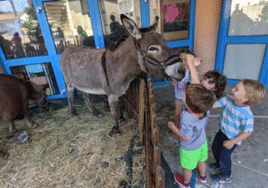 ferme pédagogique provence
