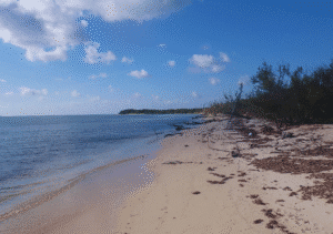 plage de la brée les bains