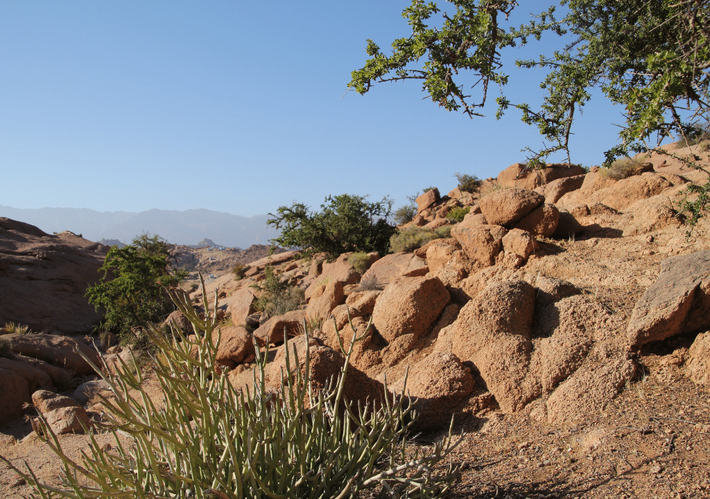 Tafraout maroc